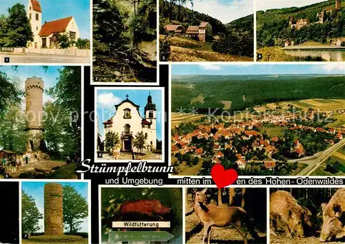 AK / Ansichtskarte Struempfelbrunn Kirche Muehle Aussichtsturm Katzenbuckel Wolfsschlucht Zwingenberg Hindenburgsaeule Reh Wildschweine Struempfelbrunn Kat. Waldbrunn