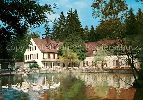 AK / Ansichtskarte Leopoldstal Lippe Waldhotel Pension Silbermuehle Enten Leopoldstal Lippe Kat. Horn Bad Meinberg