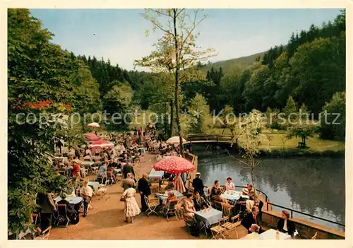 AK / Ansichtskarte Leopoldstal Lippe Waldhotel Pension Silbermuehle Leopoldstal Lippe Kat. Horn Bad Meinberg