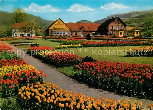 AK / Ansichtskarte Deckbergen Essmannshof Tulpenpark Deckbergen Kat. Rinteln