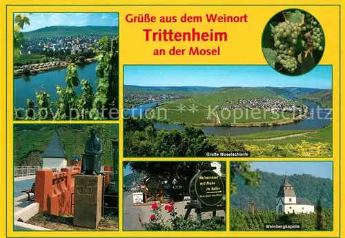 AK / Ansichtskarte Trittenheim Mosel Panorama Moseltal Grosse Moselschleife Denkmal Weinbergkapelle Trittenheim Mosel Kat. Trittenheim