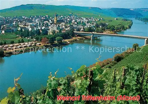 AK / Ansichtskarte Trittenheim Mosel Panorama Blick von den Weinbergen Moseltal Trittenheim Mosel Kat. Trittenheim