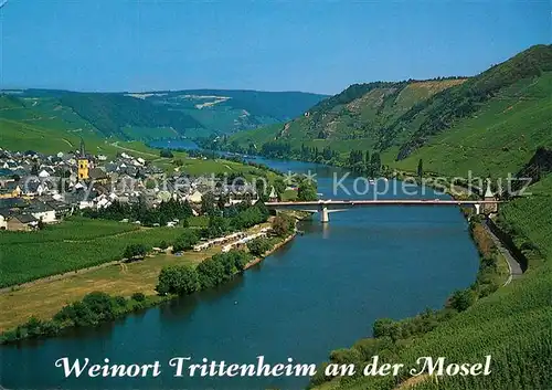 AK / Ansichtskarte Trittenheim Mosel Panorama Blick von den Weinbergen auf die Mosel Trittenheim Mosel Kat. Trittenheim