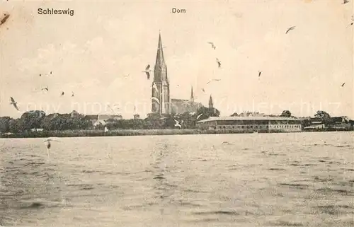 AK / Ansichtskarte Schleswig Schlei Dom Schleswig Schlei Kat. Erfde