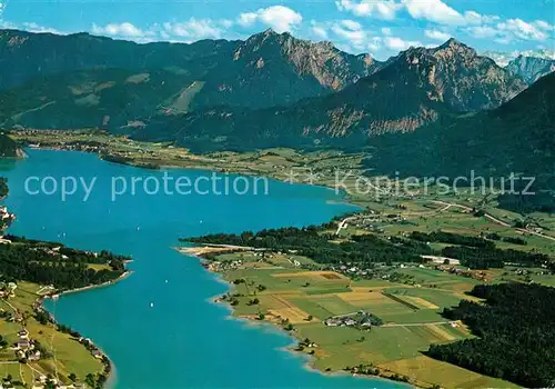 AK / Ansichtskarte Wolfgangsee St Wolfgang Zinkenbach Gschwendt Alpenpanorama Fliegeraufnahme Wolfgangsee Kat. Oesterreich