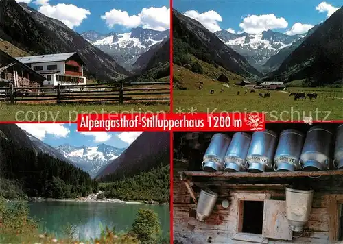 AK / Ansichtskarte Mayrhofen_Zillertal Alpengasthof Stillupperhaus Mayrhofen_Zillertal Kat. Mayrhofen