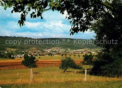 AK / Ansichtskarte Wolsfeld Panorama Wolsfeld Kat. Wolsfeld