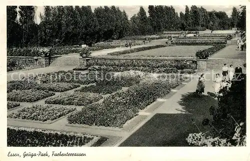 AK / Ansichtskarte Essen_Ruhr Grugapark Farbenterrassen Essen_Ruhr Kat. Essen