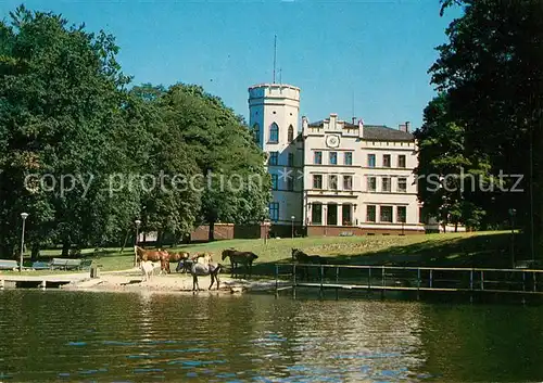 AK / Ansichtskarte Szczecin_Stettin Maciejewo Palac  Szczecin_Stettin