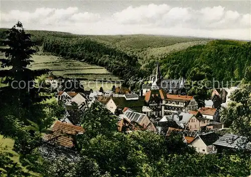 AK / Ansichtskarte Schmitten_Taunus Panorama Luftkurort Schmitten Taunus