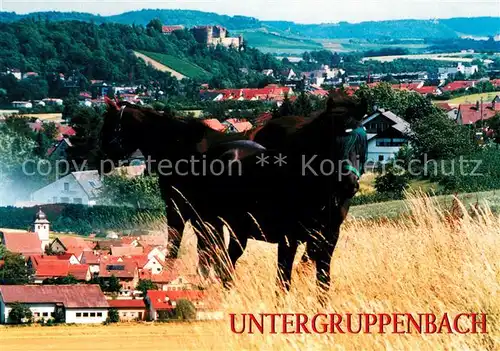 AK / Ansichtskarte Untergruppenbach Stadtpanorama Pferde Untergruppenbach