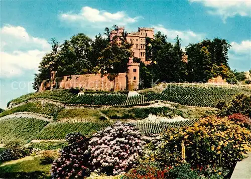 AK / Ansichtskarte Ortenberg_Baden Schloss Ortenberg_Baden