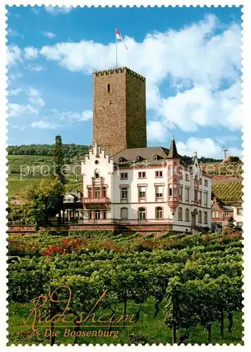 AK / Ansichtskarte Ruedesheim_Rhein Bosenburg Weinberge Ruedesheim Rhein