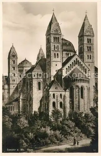 AK / Ansichtskarte Speyer_Rhein Dom Speyer Rhein