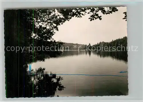 AK / Ansichtskarte Fuerwiggetalsperre Stausee Fuerwiggetalsperre