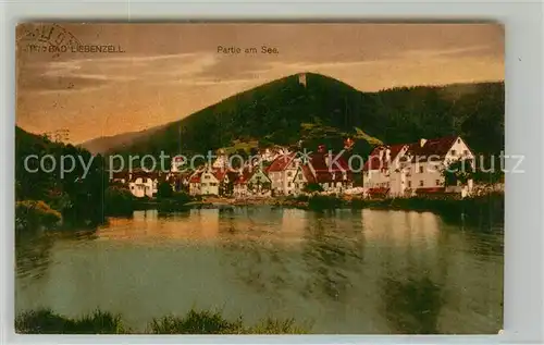 AK / Ansichtskarte Bad_Liebenzell Partie am See Kurort im Schwarzwald Bad_Liebenzell