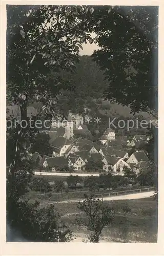 AK / Ansichtskarte Detwang Ehemaliges Reichsdorf Panorama Detwang