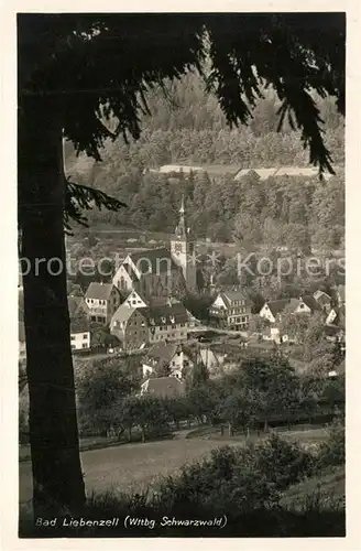 AK / Ansichtskarte Liebenzell_Bad Panorama Liebenzell_Bad