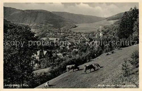 AK / Ansichtskarte Leutenberg_Thueringen Blick von der Schweizerhoehe Leutenberg Thueringen