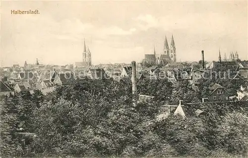 AK / Ansichtskarte Halberstadt Stadtblick Halberstadt