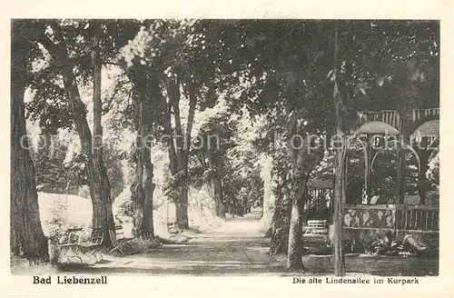 AK / Ansichtskarte Bad_Liebenzell Kurpark Lindenallee Bad_Liebenzell