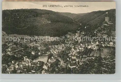 AK / Ansichtskarte Bad_Liebenzell Panorama Bad_Liebenzell