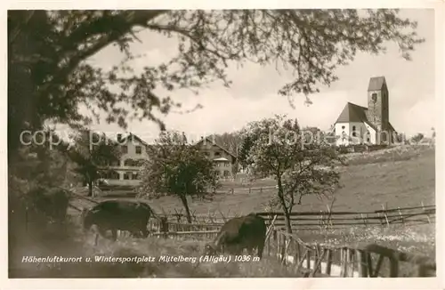 AK / Ansichtskarte Mittelberg_Oy Viehweide Kuehe Blick zur Kirche Mittelberg Oy