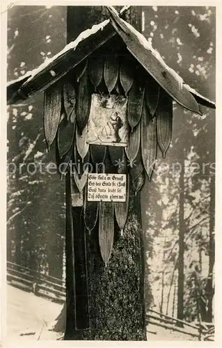 AK / Ansichtskarte Bayrischzell Partie im verschneiten Wald Ski Heil Spruch Bayrischzell