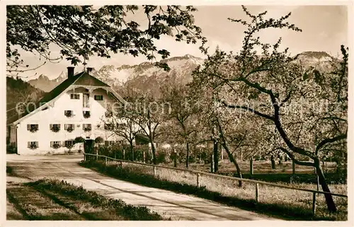 AK / Ansichtskarte Weissbach_Bad_Reichenhall Gasthaus oekonomie Obermuehle Blick gegen Lattengebirge Weissbach_Bad_Reichenhall