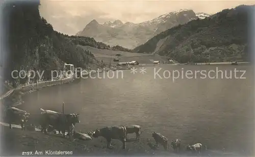 AK / Ansichtskarte Kloentalersee Panorama Kloentalersee