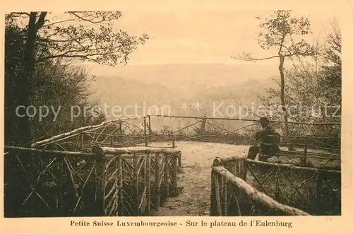 AK / Ansichtskarte Luxembourg Sur le plateau de l Eulenburg Luxembourg