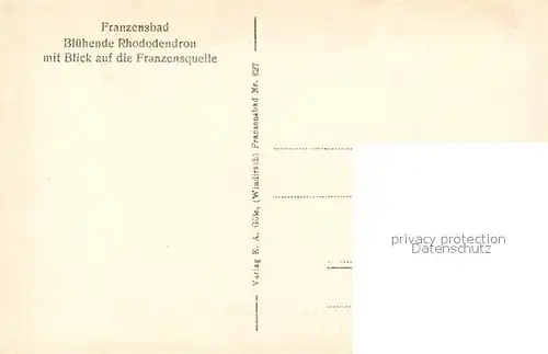 AK / Ansichtskarte Franzensbad_Tschechien Franzensquelle Bluehende Rhododentron Franzensbad_Tschechien