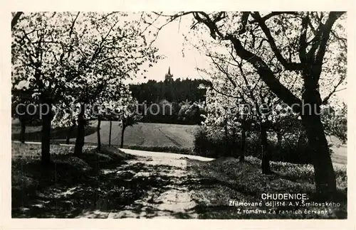 AK / Ansichtskarte Chudenice_Chudenitz Panorama 