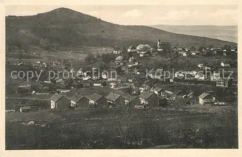 AK / Ansichtskarte Bodenmais Panorama mit Harlachberg Bodenmais