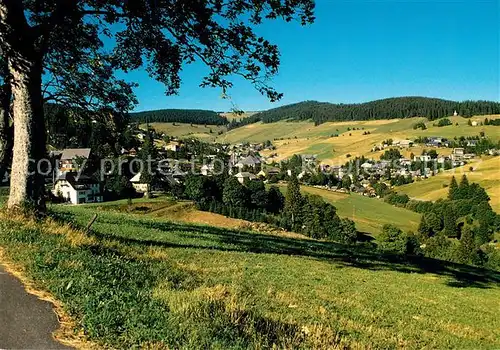 AK / Ansichtskarte Todtnauberg  Todtnauberg