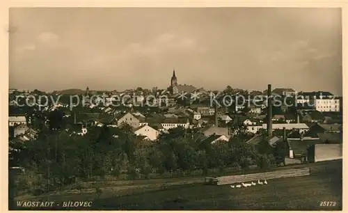 AK / Ansichtskarte Bilovec Wagstadt Panorama Bilovec