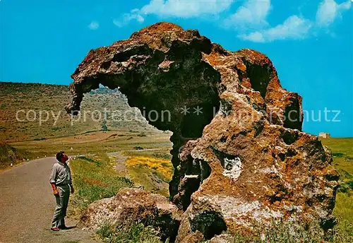 AK / Ansichtskarte Castelsardo Elefant Felsformation Natur Castelsardo