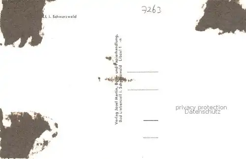 AK / Ansichtskarte Bad_Liebenzell Fliegeraufnahme Panorama Bad_Liebenzell