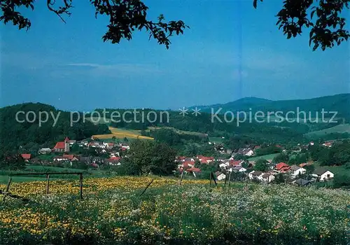 AK / Ansichtskarte Gadernheim Panorama Gadernheim