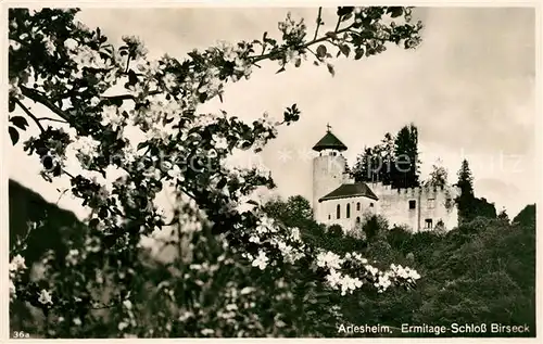 AK / Ansichtskarte Arlesheim Ermitage Schloss Birseck Arlesheim