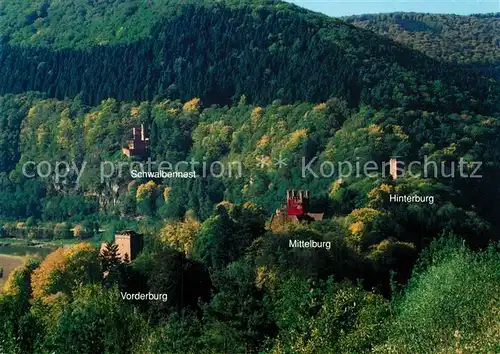 AK / Ansichtskarte Neckarsteinach Schwalbennest Hinterburg Mittelburg Vorderburg Neckarsteinach