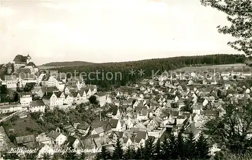 AK / Ansichtskarte Altensteig_Schwarzwald  Altensteig_Schwarzwald