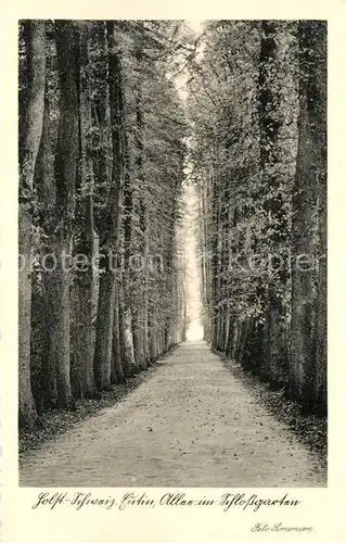 AK / Ansichtskarte Eutin Allee im Schlossgarten Eutin