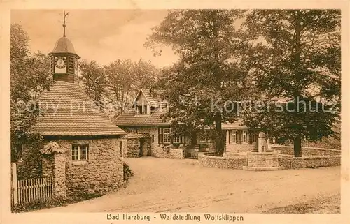 AK / Ansichtskarte Bad_Harzburg Waldsiedlung Wolfsklippen Bad_Harzburg