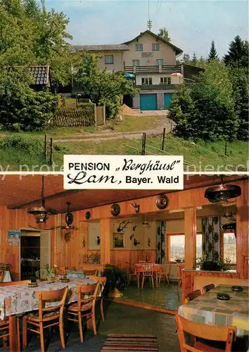 AK / Ansichtskarte Lam_Oberpfalz Pension Berghaeusl Lam_Oberpfalz