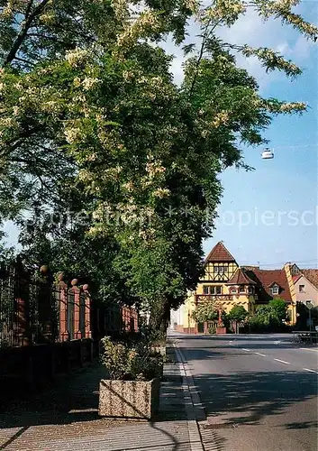 AK / Ansichtskarte Ilvesheim Ortsansicht Hauptstrasse Ilvesheim