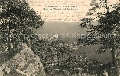 AK / Ansichtskarte Schwarzburg_Thueringer_Wald Blick vom Trippstein zum Schloss Schwarzburg_Thueringer