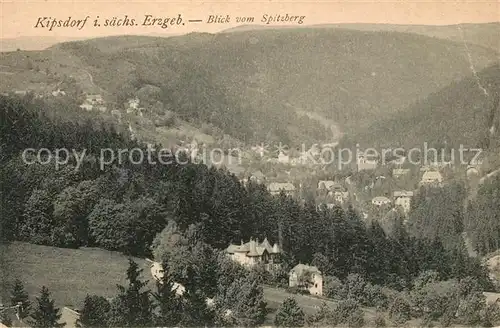 AK / Ansichtskarte Kipsdorf Panorama Blick vom Spitzberg Kipsdorf