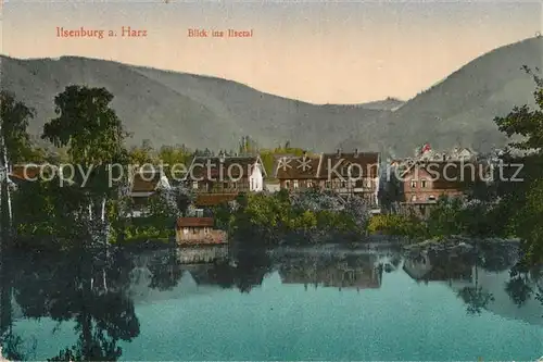 AK / Ansichtskarte Ilsenburg_Harz Blick ins Ilsetal Ilsenburg Harz