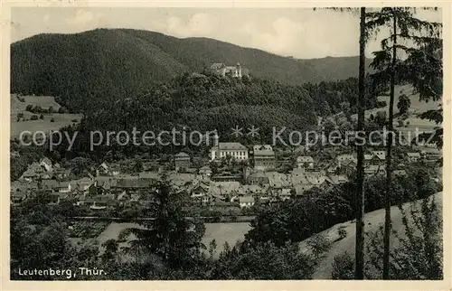 AK / Ansichtskarte Leutenberg_Thueringen Landschaftspanorama mit Schloss Leutenberg Thueringen